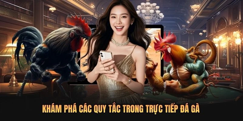 Khám phá các quy tắc trong trực tiếp đá gà