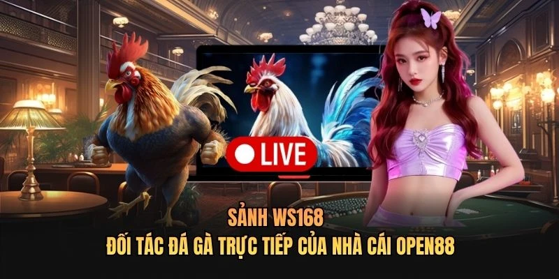 WS168 - Đối Tác Đá Gà Trực Tiếp Của Nhà Cái OPEN88