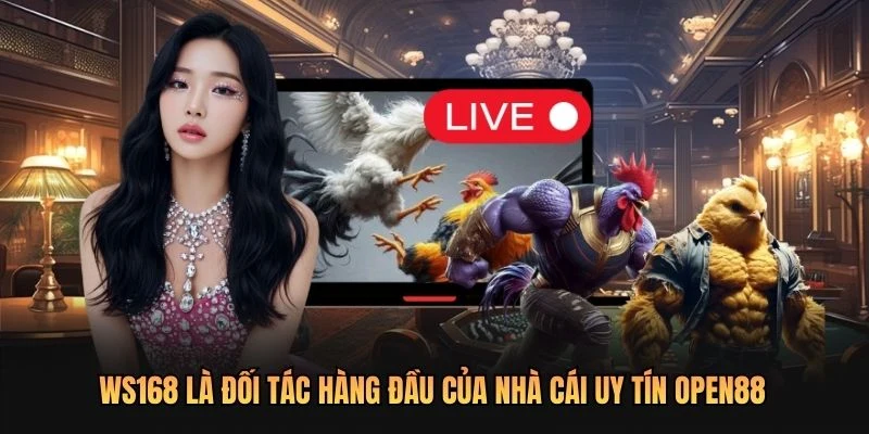 WS168 là đối tác hàng đầu của nhà cái uy tín OPEN88